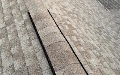 The Life of a Shingle Roof in Coastal Florida: What Homeowners Should Expect