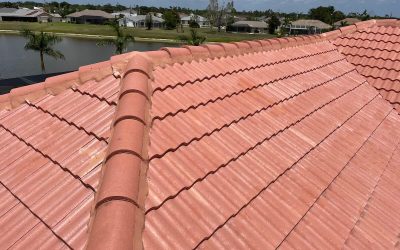 Essential Tips for Tile Roof Maintenance: Protecting Your Florida Home
