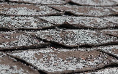 Granule Loss on a Shingle Roof: What It Means and Why It Matters